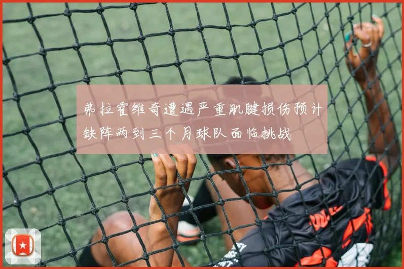 弗拉霍维奇遭遇严重肌腱损伤预计缺阵两到三个月球队面临挑战