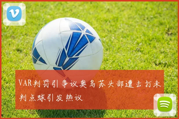 VAR判罚引争议奥乌苏头部遭击打未判点球引发热议