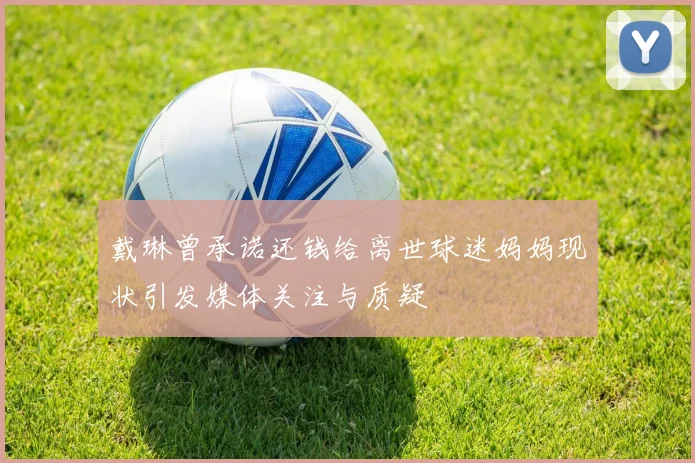 戴琳曾承诺还钱给离世球迷妈妈现状引发媒体关注与质疑