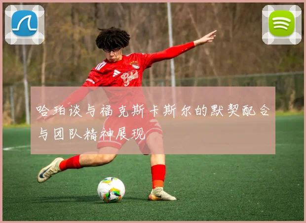 哈珀谈与福克斯卡斯尔的默契配合与团队精神展现