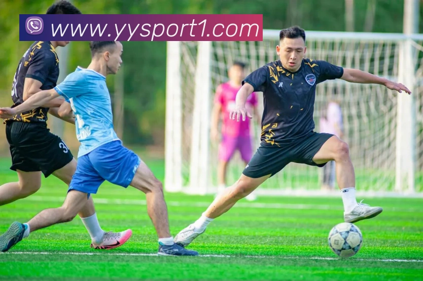 易游体育平台生态图